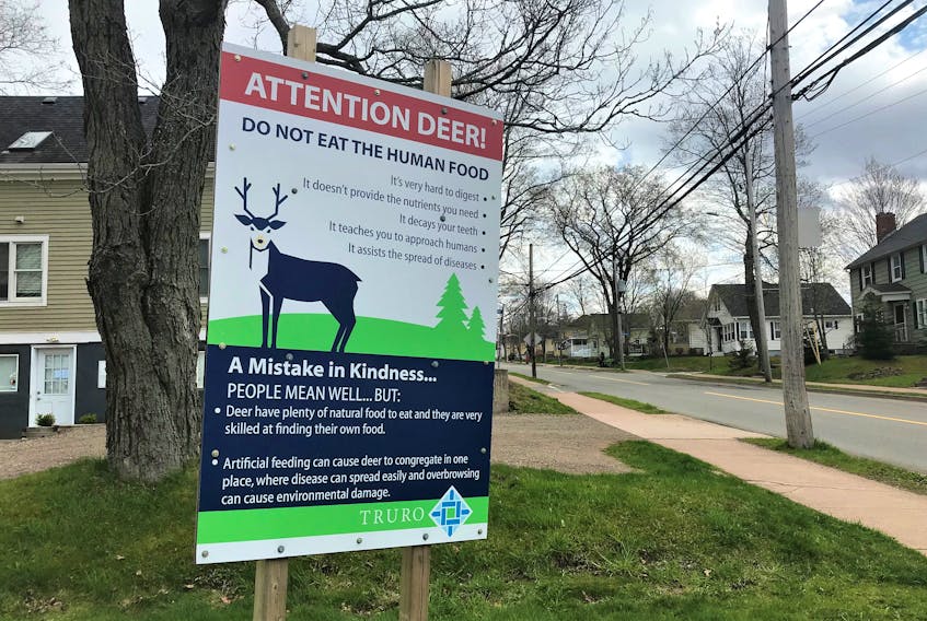 The Town of Truro has put up large signs, such as this one on the corner of Young and Brunswick streets, discouraging the feeding of deer in the community.