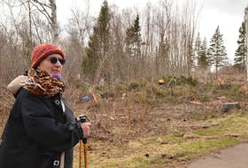 Georgina Markov stands next to one of the cleared areas in Green Park. She's upset at the clear cut and doesn't want to see anything similar at other provincial parks.