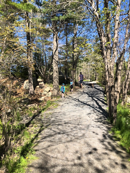 With crushed stone paths, the Frog Pond Trail is an easy hike for families, and as a bonus, it's also very stroller-friendly. - Heather Fegan