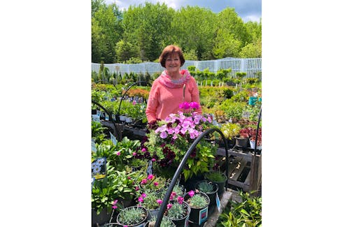 Jeanette Hermanson’s Green Thumb Farmers’ Market is a sea of colour against a background of happy, hopeful chatter as Pictou County gardeners, of varying abilities and experience, turn to planting baskets, containers and beds to offset the COVID blues.