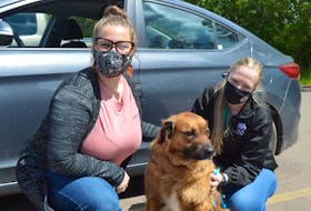 The P.E.I. Humane Society is once again reminding people not to leave their animals in hot cars this summer. Helping to increase awareness of the issue is Ashley MacLeod, left, development and communications co-ordinator with the society; Sam Wojack, a clicker trainer with the Atlantic Veterinary College; and Charlie, a five-year-old German shepherd mix who is up for adoption. Dave Stewart • The Guardian