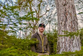 Adam Malcolm, founder of the Facebook group Stop Clearcutting Unama'ki and the Instagram account @ns.speciesatrisk, in the woods near River Inhabitants, Richmond County in February 2021. CONTRIBUTED
