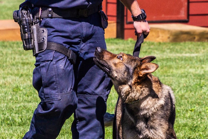 After three years on the job, RCC police dog Dali has retired because of medical issues. — RNC/Twitter