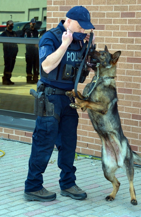  Seaforce, shown playing with her handler, RNC Const. Pat McDonald, becomes the second female dog in the history of the RNC canine services unit. — Keith Gosse/The Telegram