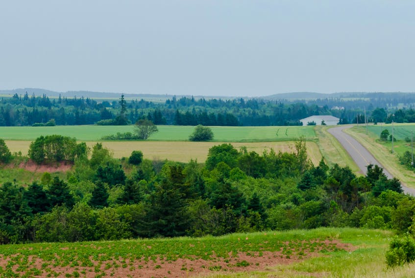 Forests and fields line a Prince Edward Island highway. The writers argue that not all factors such as quality of life and biodiversity are taken into consideration when planning developments. 