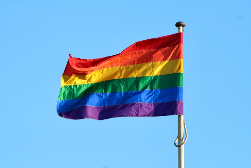 Politicians in Newfoundland and Labrador are condemning the recent vandalism of Pride flags at two schools in the St. John's area. 