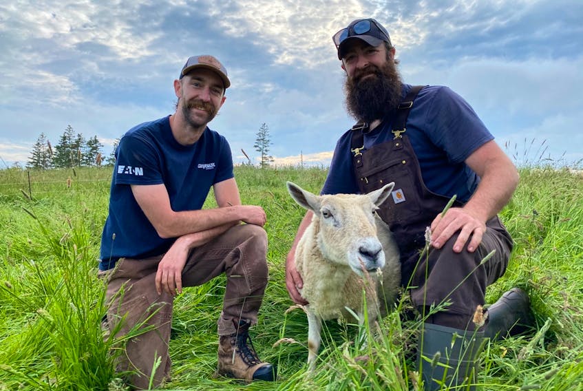 Brothers Jordan and Evan with one of the ewes at Kleiner Farms.
CARLA ALLEN • TRICOUNTY FARMS