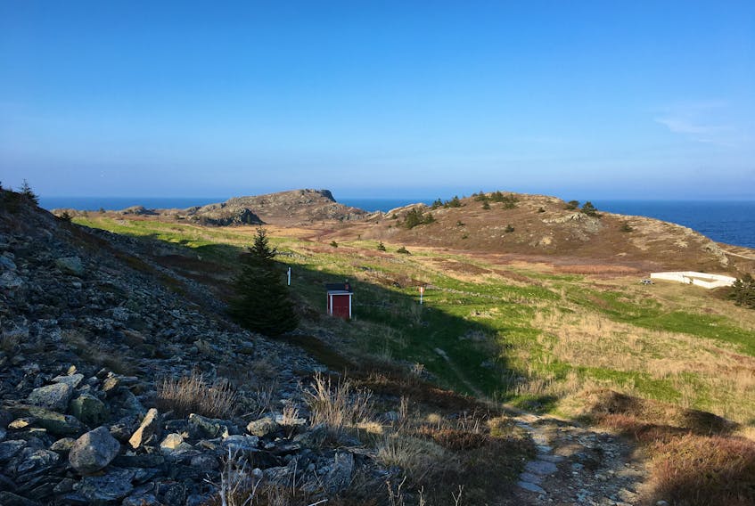 The Bay Roberts Heritage Shoreline Walk is one of several trails that will be a part of the 2021 Trinity Conception Placentia Health Foundation Trail Challenge.