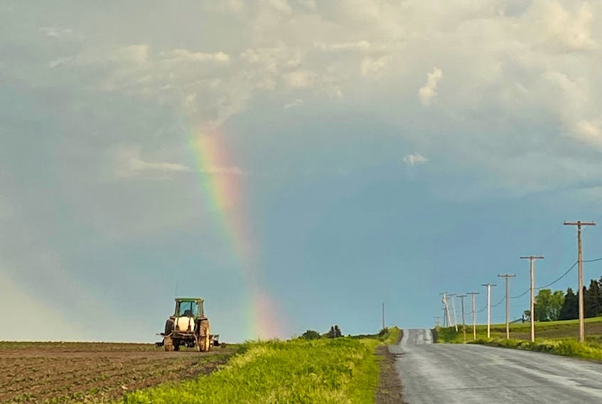 Penny McGuire sent this photo from Carlingford, N.B., which is near Perth-Andover. It’s a quintessential photo of New Brunswick. You can see a tractor working the field as a rainbow extends from cloud to ground after a recent rain shower. As much as everyone loves the sunny, hot and dry - weather of summer, it has been very dry around these parts as of late. Here’s to hoping we soon see some rainy skies - and a few rainbows as well.