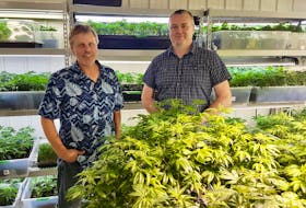Mira-Juana Cannabis Inc. co-owners John Gatza, left, and Gary Tighe saw their products hit Nova Scotia Liquor Corporation shelves this month. The Cape Breton micro-cultivation operation is the first in the province to have its cannabis sold in NSLC stores. CONTRIBUTED