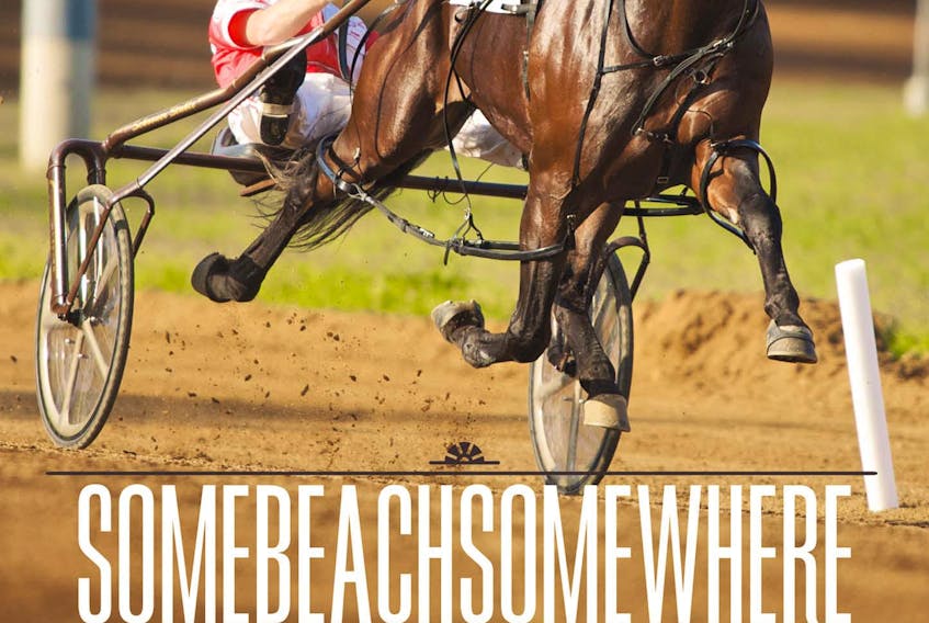 Author Marjorie Simmins’ latest book covers the life of harness racing legend Somebeachsomewhere. Contributed