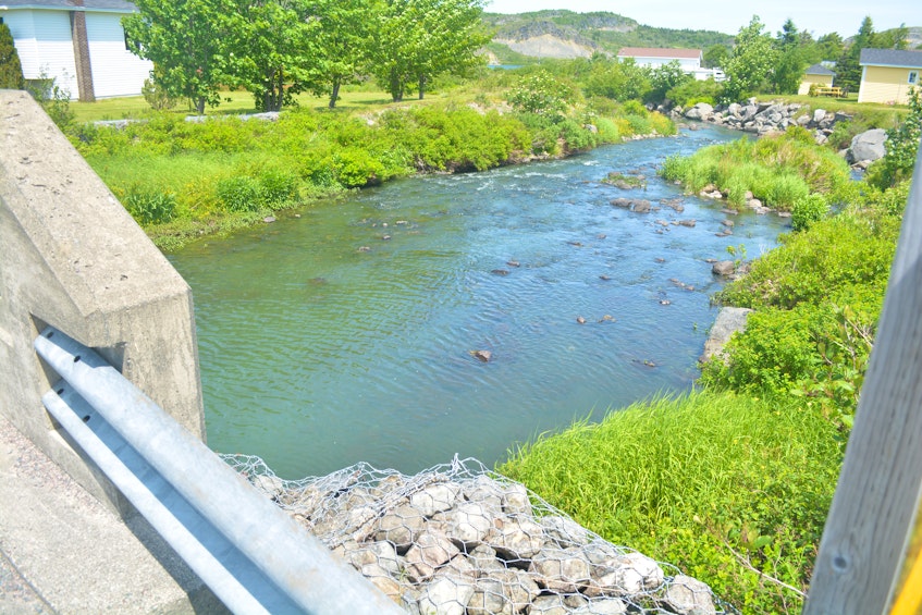 This salmon river in Salmon Cove had a greenish-blue tint to it Tuesday and has town officials worried about the health of the river. - Saltwire network