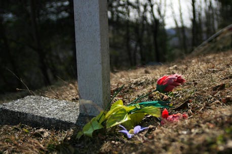 Student at Corner Brook's Grenfell Campus captures expressive colour in plastic graveyard flowers