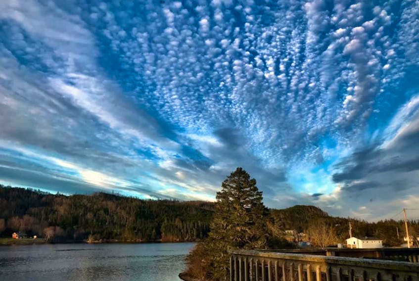 Mallorie Nickerson of New Harbour, Guysborough County, N.S. sent this lovely photo of a mackerel sky. Grandma Says, ‘Mackerel sky - never long wet, never long dry.’  Did you know a mackerel sky is a common term for rows of cumulus or altocumulus clouds showing an undulating, rippling pattern similar in appearance to fish scales.