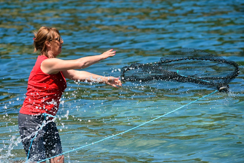 Debbie Blackwood casts a net as she tries to catch a meal of capelin at Middle Cove beach Thursday. — Keith Gosse/The Telegram