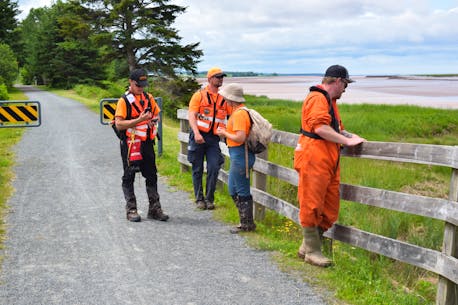 Team searches for evidence of missing Truro boy along Old Barns, Nova Scotia coast