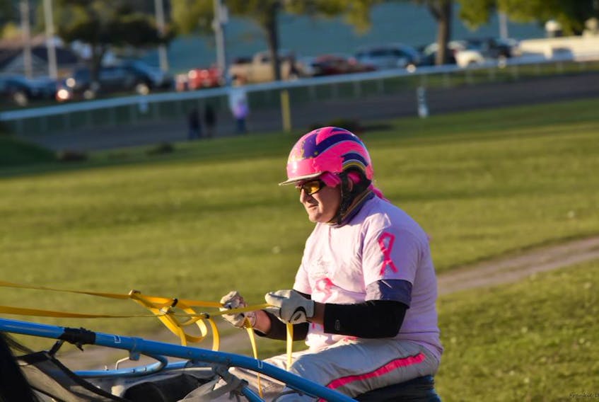 Driver Brian MacPhee gets into the spirit of a Harness The Hope P.E.I. event in Charlottetown. Drivers and horses both sport pink in support of raising funds and awareness for cancer. 