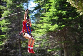 Planning to visit New Brunswick this summer? Add Timbertop Treetop Adventure Park to your to-do list.