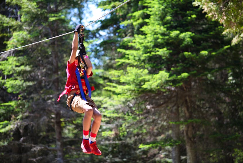 Planning to visit New Brunswick this summer? Add Timbertop Treetop Adventure Park to your to-do list.