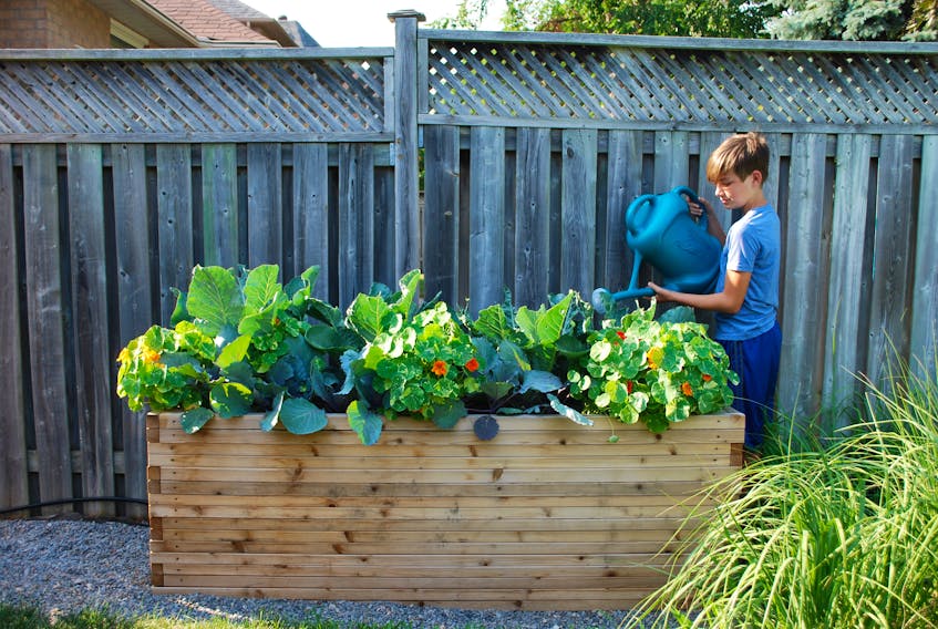 Raised beds and container gardening are both well-suited for life at the cottage.