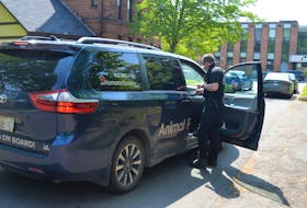 Mike Gilbertson, an animal protection officer with the P.E.I. Humane Society, checks in with one of his colleagues during a search for a monkey in downtown Charlottetown Monday. It turned out to be a hoax.