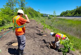 The Highway of Heroes Tree Campaign was successfully launched more than seven years ago by volunteers with an interest in honouring people who died in wars and giving the environment a lift at the same time.