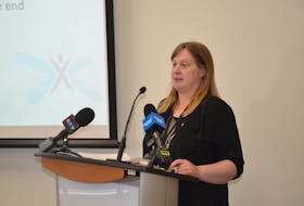 Naomi Shelton, director of policy and communications for Elections Nova Scotia, walks reporters through preparations that have been made for a safe provincial election, whenever it might be called.