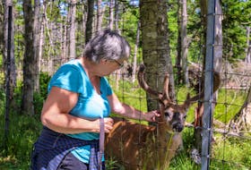 "The park's beautiful and the animals look really well cared for. It's very inviting," said Donna Andrus, who was camping at Mira Provincial Park with her husband this weekend but came up to visit Two Rivers Wildlife Park.