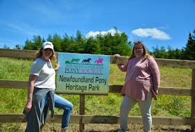 The Newfoundland Pony Society’s Libby Carew (left) and Kelly Power-Kean at what will be the Newfoundland Pony Heritage Park in Hopeall.