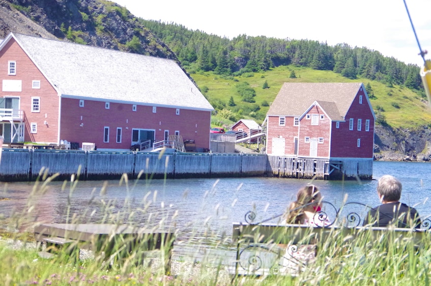 Visitors are starting to show up in Trinity, Newfoundland, but for the 2021 season most of them will likely be from Newfoundland and Labrador.  - Barb Dean-Simmons