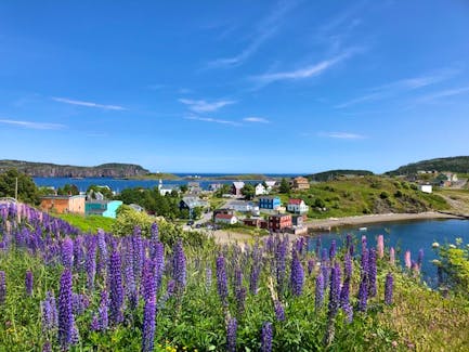The historic town of Trinity, on the Bonavista Peninsula, is one of the most popular destinations for travelers to Newfoundland and Labrador.