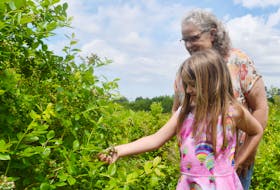 Marja Jorgensen and her granddaughter Willow check out some berries that are starting to form on their high bush blueberry plants in West Branch. This year's weather conditions have been ideal and the Jorgensens are expecting to have a great crop.