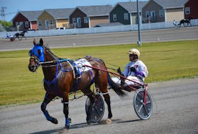 Driver Brodie MacPhee and Bugsy Maguire are back looking to defend their Governor’s Plate title. They are the favourites in the second elimination on Sunday, July 4, at Red Shores at Summerside Raceway.