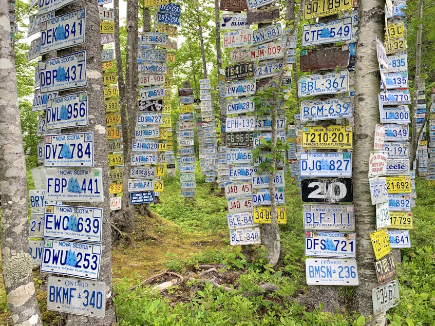 French Cove resident Leo Murray has spent more than 20 years nailing licence plates to the trees on his rural Richmond County property. Chris Connors/Cape Breton Post