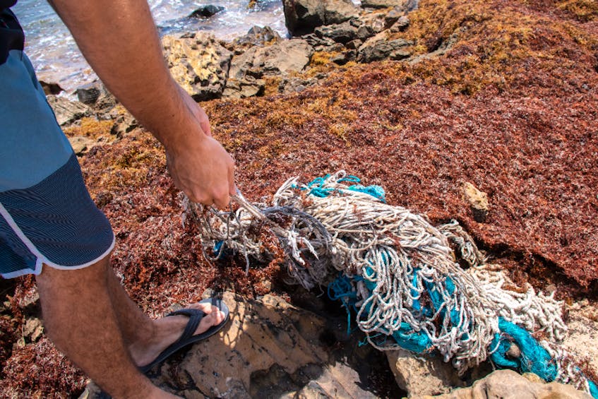 Finding and retrieving 'ghost' fishing gear? There's a made-in-Canada app  for that