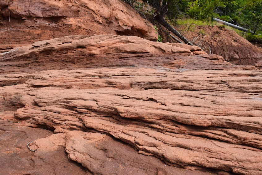The sandstone and other rock formations tell stories of hundreds of millions of years of history.