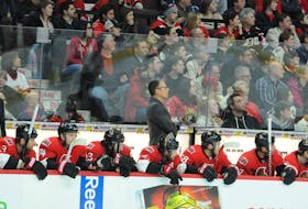 Dave Cameron spent five seasons behind the bench of the National Hockey League’s Ottawa Senators, including two as head coach. Cameron is returning to the nation’s capital as head coach of the Ottawa 67’s of the Ontario Hockey League.