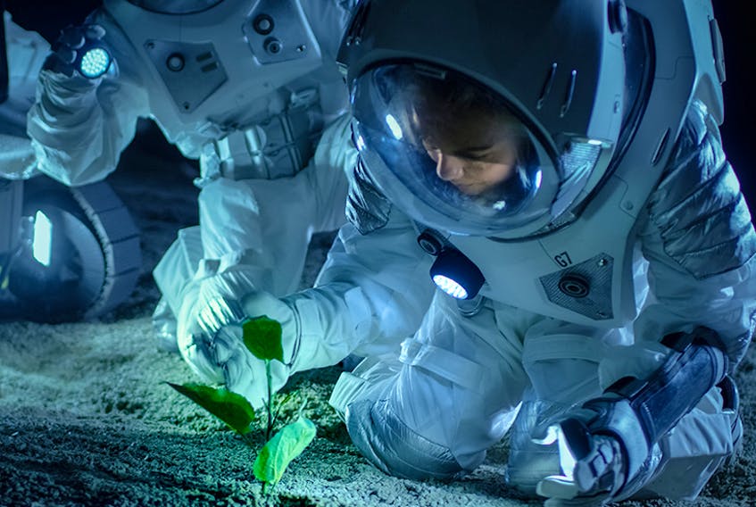 The Deep Space Challenge is a joint effort by NASA and the Canadian Space Agency to find innovative solutions for growing food in space, as well as in urban and northern climates on Earth. - Courtesy of the Canadian Space Agency