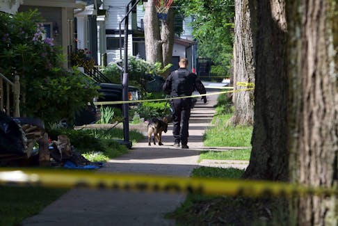 July 2, 2020—A Halifax Regional Police officer and dog look for clues following a triple shooting on Cork Street late Canada Day evening. One person died dead and two other victims, a man and woman, were injured in the incident.