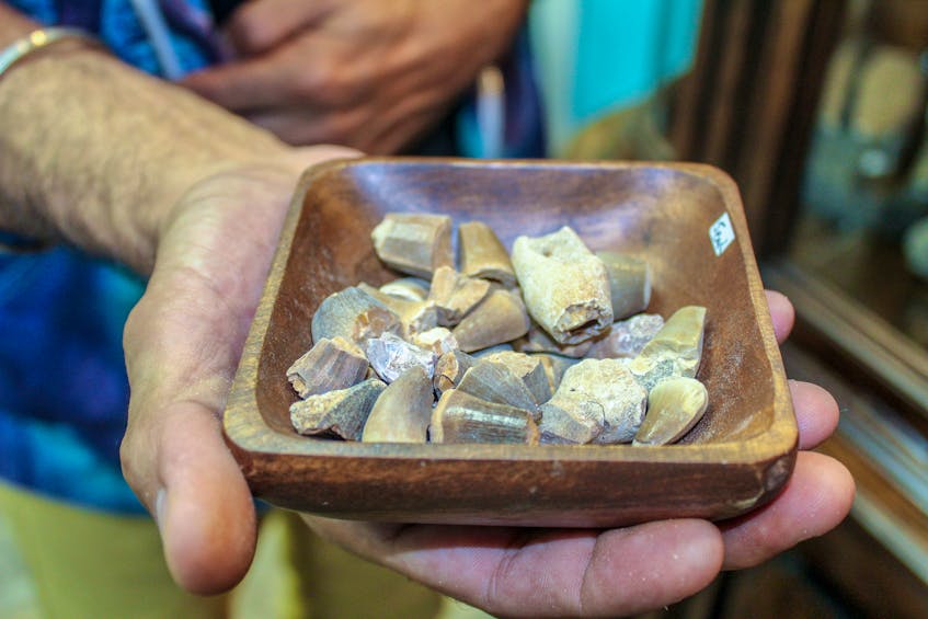 Aneal Virick shows some megalodon teeth that he has for sale. JESSICA SMITH/CAPE BRETON POST
