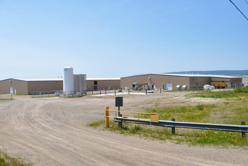 The Northern Harvest Smolt Ltd. salmon hatchery at Port Harmon, Stephenville, currently produces 4.5 million smolt. The company's plans to add more capacity but a ruling by the Supreme Court of Canada meant the province had to rescind its approval for expansion and ask the company to provide more details about potential environmental impact. 