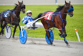 Woodmere Bankroll with Mike McGuigan driving led at every call Saturday, July 3, in Race 2 at Red Shores at the Charlottetown Driving Park.