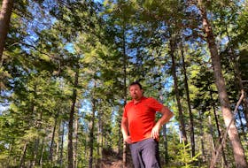 Greg Watson, manager of the North Nova Forest Owners Co-op, in a forest stand in Wentworth that has received two cuts in line with the province's plan for ecologically managed crown lands.