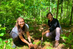 Isabelle Fitzpatrick, left, and Daniel McRae are working on the forest restoration plan on the last day of the field course in ecological forestry. 