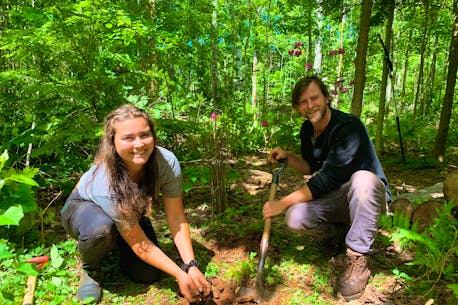UPEI offers field course in forestry, promoting native ecological system