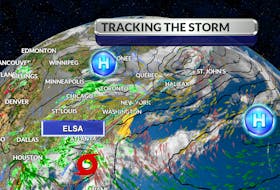CINDY DAY: What you need to know about Elsa1 - WSI