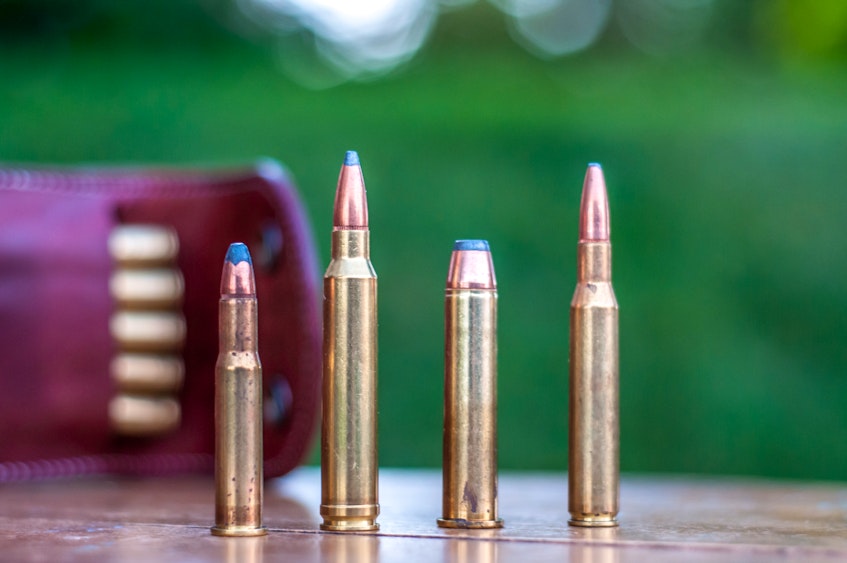 Experts fuss over ammo. — Paul Smith