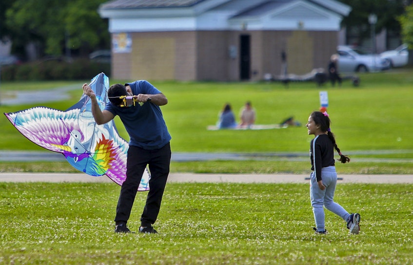 A girl laughs as her father untangles himself from kite string on the Commons in Halifax on Thursday evening, July 8, 2021. - Tim  Krochak