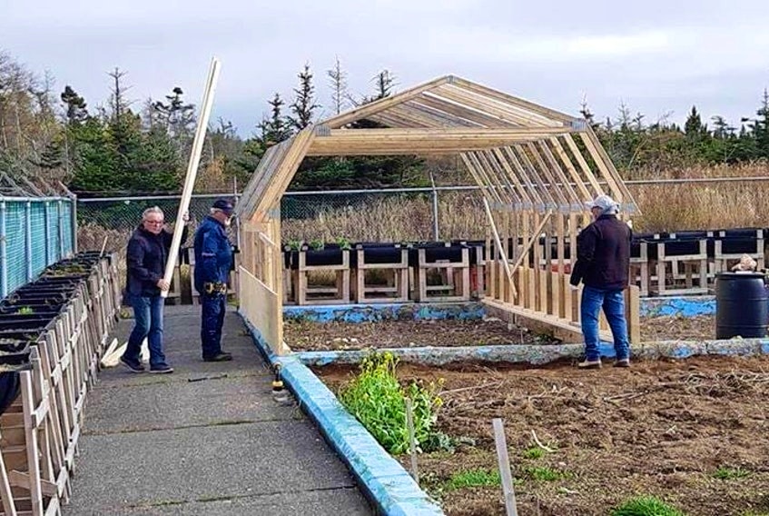 Members of the Island Harbour 50 Plus Club in Heart’s Delight built a greenhouse for tomatoes in June 2020 as part of a community garden project, spurred in part by the isolation they felt during the COVID-19 pandemic. — Contributed photo by Cyril Chislett