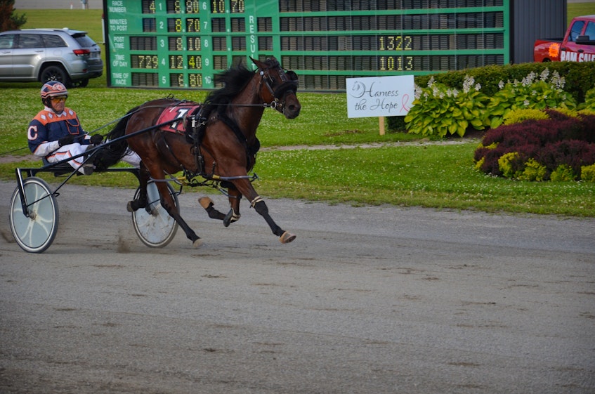 Walter Cheverie drives Jj Linda to a 2:01.4 victory in a $3,000 Atlantic Sires Stakes B Division race at Red Shores at Summerside Raceway on July 7. Cheverie will steer Rose Run Quest in the 53rd running of the Governor's Plate, presented by Summerside Chrysler Dodge, in Summerside on July 10. - Jason Simmonds • The Guardian